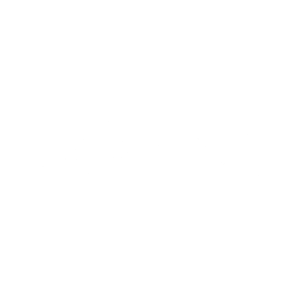 SkidLab